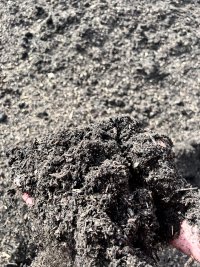 Garden Compost - Organic Peat Free Multi Purpose Compost & Soil Conditioner