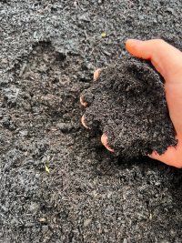 Garden Compost - Organic Peat Free Multi Purpose Compost & Soil Conditioner